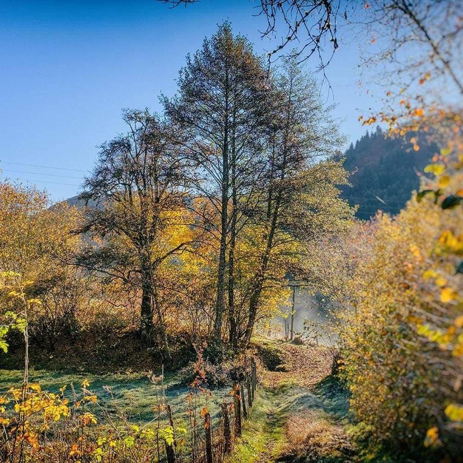 Bed and Breakfast Moulin Des Borderies Singles Екстер'єр фото